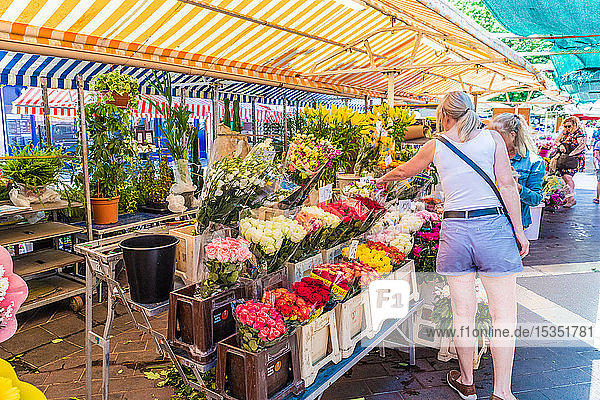 Der Blumenmarkt auf dem Cours Saleya Markt  Altstadt  Nizza  Alpes Maritimes  Côte d'Azur  Côte d'Azur  Provence  Frankreich  Mittelmeer  Europa