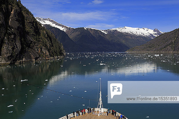 Kreuzfahrtschiff  Endicott Arm  Holkham Bay  Juneau  Alaska  Vereinigte Staaten von Amerika  Nordamerika