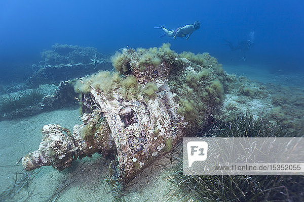 Apnoe Taucher am Passagier Flugzeugwrack Vickers Viking an der Westkueste Korsikas Korsika Frankreich