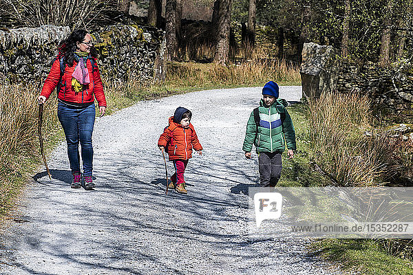 Mother and sons exploring national park  Llanaber  Gwynedd  United Kingdom