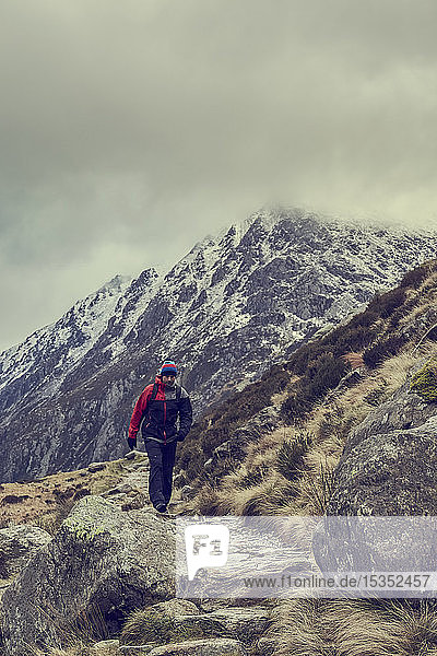 Male hiker hiking in rugged landscape with snow capped mountains  Llanberis  Gwynedd  Wales