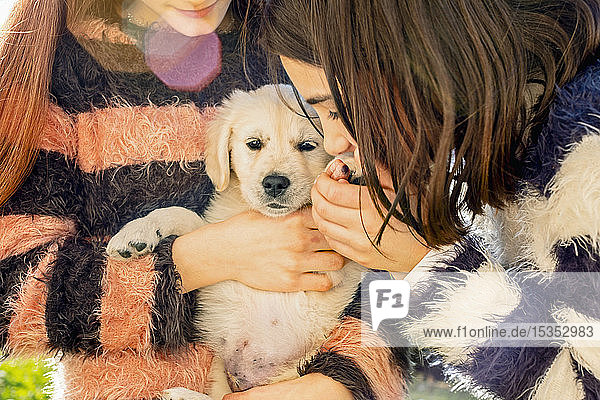 Two girl petting a cute golden retriever puppy  cropped