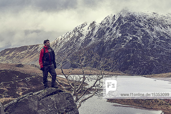 Male hiker looking out at lake and snow capped mountain landscape  Llanberis  Gwynedd  Wales