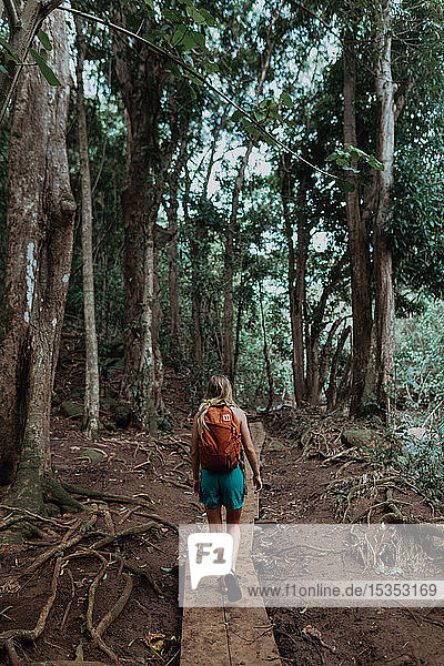 Frau genießt Spaziergang im Regenwald  Princeville  Hawaii  USA