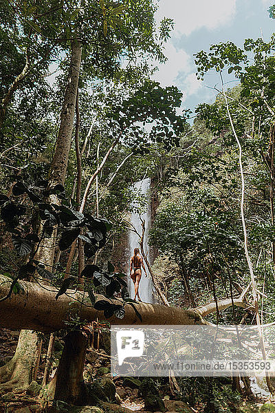 Woman walking on log in rainforest Princeville Hawaii US