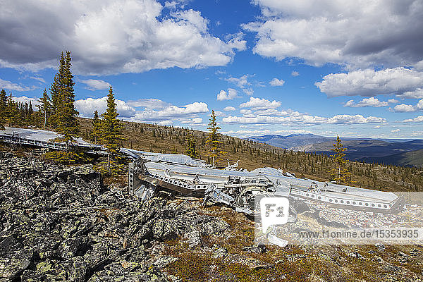 The land reclaiming a 1943 B-24 Liberator crash in the Yukon-Charley Rivers National Preserve Wild and Scenic River Charley River; Alaska United States of America