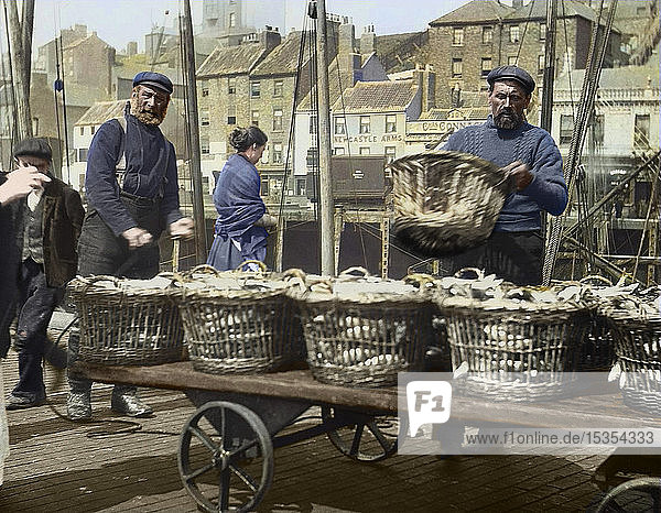 Magic lantern slide circa 1880.  Victorian/Edwardian Social History. A picture of fishermen unloading herring at North Shields Fish Quay. Buildings include the Newcastle Arms  Union Quay. A lady fisherwoman in the background. Lots of baskets of herring on a trolley; North Shields  Tyne and Wear  England