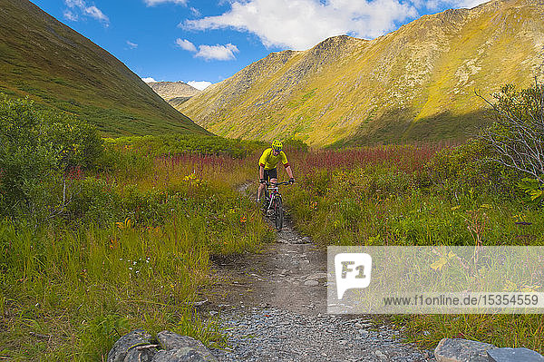 Ein Mann fährt mit seinem Mountainbike auf dem Devil's Pass Trail an einem sonnigen Sommertag in Süd-Zentral-Alaska; Alaska  Vereinigte Staaten von Amerika