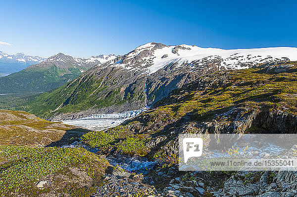 A small stream in Kenai Fjords National Park with Exit Glacier in the background on a sunny summer day in South-central Alaska; Alaska  United States of America