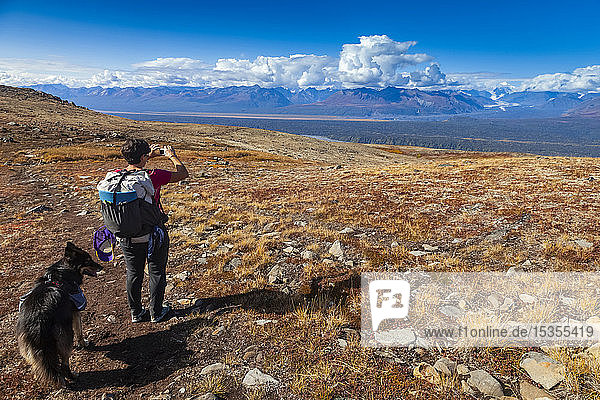 Woman backpacker and her dog pause to take a picture of the Alaska Range while hiking on the Kesugi Ridge Trail in Denali State Park  Alaska in the autumn; Alaska  United States of America