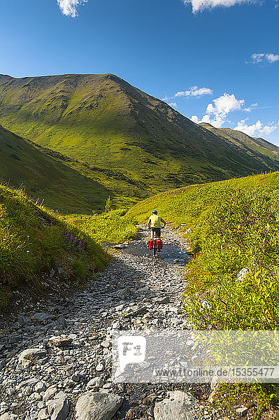 Ein Mann fährt mit seinem Mountainbike auf der Palmer Valley Road in der Nähe von Hope  Alaska  an einem sonnigen Sommertag in Süd-Zentral-Alaska; Alaska  Vereinigte Staaten von Amerika