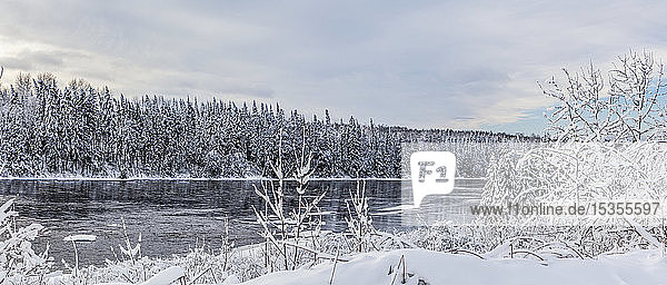 Schneebedeckte Bäume am Fluss Kam im Winter; Thunder Bay  Ontario  Kanada