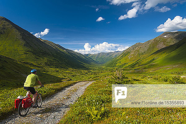 A man riding his mountain bike on the Palmer Valley Road near Hope  Alaska on a sunny summer day in South-central Alaska; Alaska  United States of America