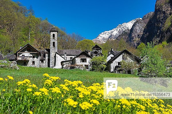 Bergdorf Foroglio mit alten Steinhäusern  Val Bavona  Kanton Tessin  Schweiz  Europa