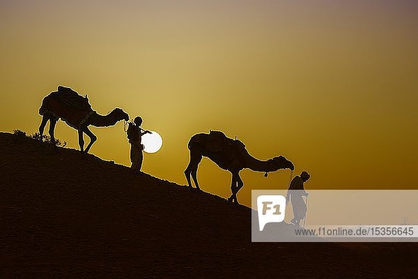 Zwei Rabari-Männer gehen bei Sonnenuntergang eine Düne hinunter  Silhouetten  Great Rann of Kutch  Gujarat  Indien  Asien