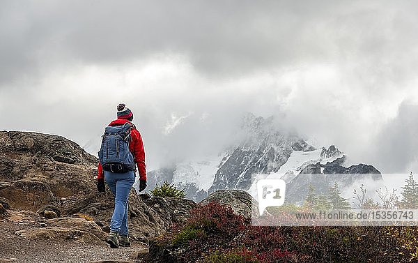 Female hiker on hiking trail in autumnal mountain landscape  behind glacier Mt. Shuksan with snow in clouds  Mt. Baker-Snoqualmie National Forest  Washington  USA  North America