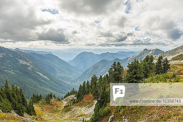 Berglandschaft im Herbst  Mount Rainier National Park  Washington  USA  Nordamerika