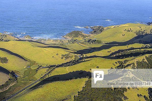 Aerial view with coast in the Bay of Islands  Far North District  North Island  New Zealand  Oceania