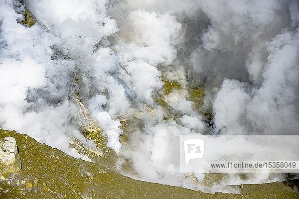 Fumarolen auf dem Vulkan White Island  Whakaari  Bay of Plenty  Nordinsel  Neuseeland  Ozeanien