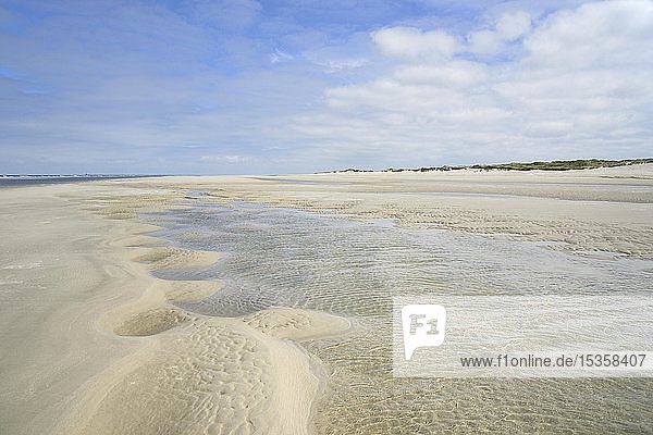 Beach at low tide  pits filled with water  sand ripple  Wangerooge  East Frisian Islands  North Sea  Lower Saxony  Germany  Europe