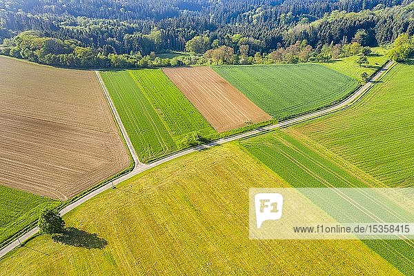 Luftaufnahme  Straße zwischen landwirtschaftlichen Flächen  Schwäbischer Wald  Baden Württemberg  Deutschland  Europa