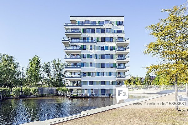 Wohngebäude WaterHouses experimenteller Wohnungsbau Internationale Bauausstellung Hamburg IBA Wilhelmsburg Hamburg Deutschland Europa