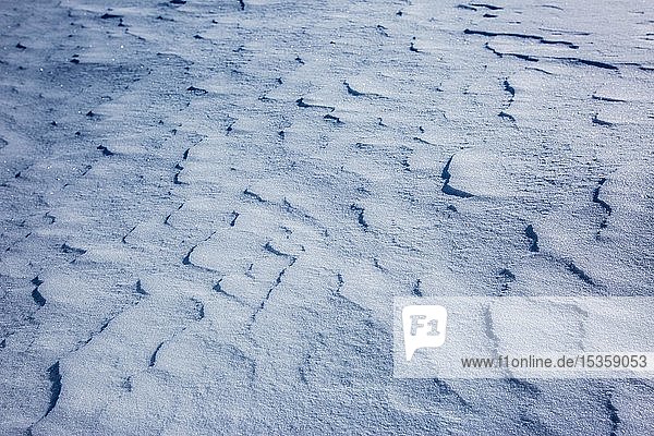 Schneeverwehung  Schnee mit Wellenstruktur  Provinz Lappland  Schweden  Europa