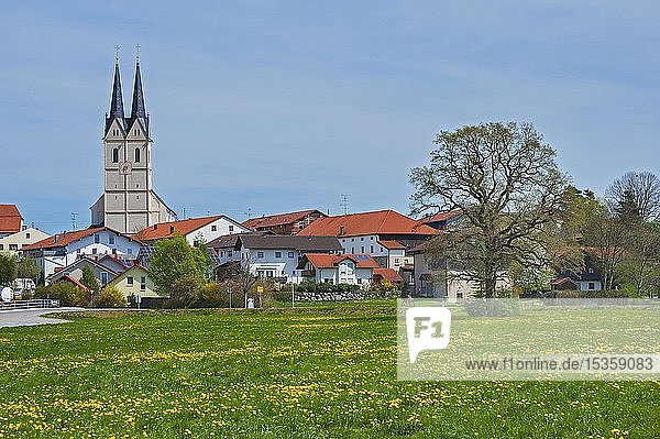 Spring meadow in front of the pilgrimage church St. Mariä Himmelfahrt in Tuntenhausen  Upper Bavaria  Bavaria  Germany  Europe