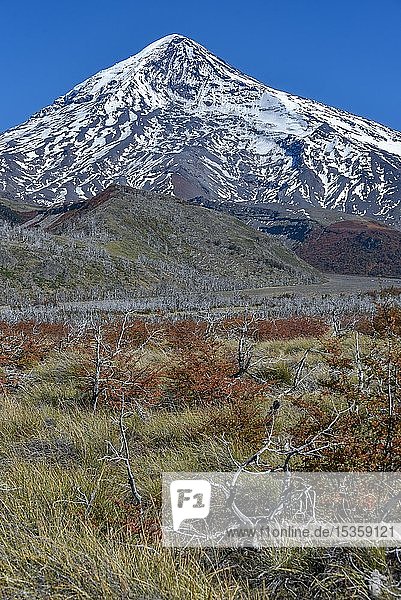 Schneebedeckter Vulkan Lanin zwischen San Martin de los Andes und Pucon Nationalpark Lanin Patagonien Argentinien Südamerika
