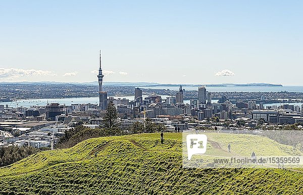 View from Mount Eden  volcanic craters  skyline with skyscrapers  Auckland Region  North Island  New Zealand  Oceania