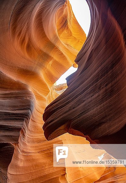 Colourful sandstone formation  incident light  Lower Antelope Canyon  Slot Canyon  Page  Arizona  USA  North America