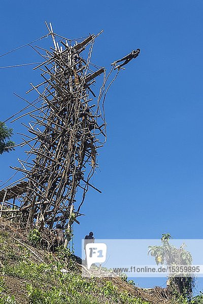 Mann springt von einem Bambus-Turm Land-Tauchen Pfingsten Vanuatu Ozeanien