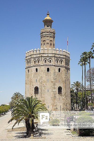 Goldturm Torre del Oro Sevilla Andalusien Spanien Europa