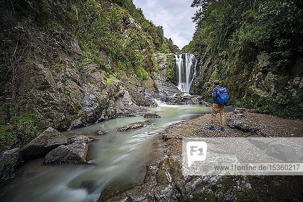 Hiker in front of Piroa Waterfall  Maungaturoto  Northland  North Island  New Zealand  Oceania
