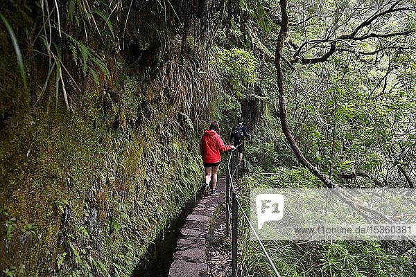 Junges Paar beim Wandern auf dem Wanderweg PR 9 Caldeirao Verde entlang einer Levada  Queimadas Regenwald  Madeira  Portugal  Europa