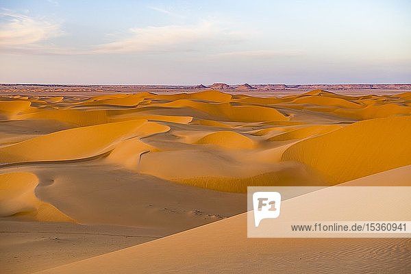 Abendlicht in den Sanddünen der Sahara  Timimoun  Algerien  Afrika