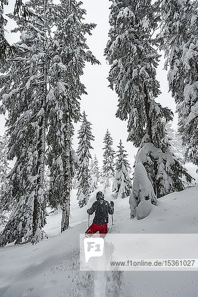 Junger Mann läuft durch tiefen Schnee  Winterwanderung  tiefer Schnee im Wald  Brixen im Thale  Tirol  Österreich  Europa
