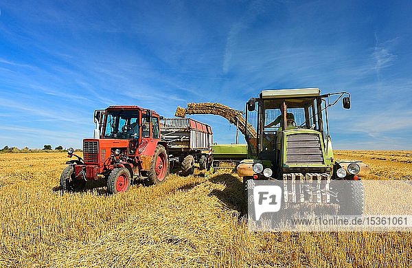 Bale press unloads straw bales on tractor trailer  stubble field under blue sky  at Alsleben  Saxony-Anhalt  Germany  Europe