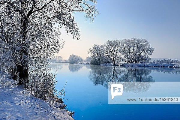 Flusslandschaft im Winter an der Saale  Bäume mit Frost und Schnee bedeckt  Wasserspiegelung  Naturpark Unteres Saaletal  Sachsen-Anhalt  Deutschland  Europa