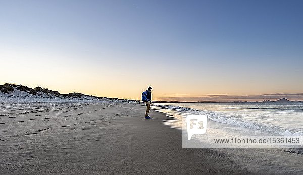 Junger Mann geht am Strand entlang  Strand Waipu Beach bei Sonnenuntergang  Waipu Cove  Northland  Neuseeland  Ozeanien