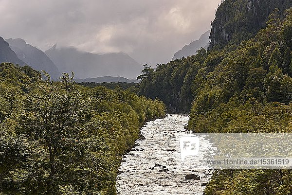 Rio Exploradores fließt durch Regenwald bei Puerto Río Tranquilo Valle Exploradores Parque Nacional Laguna San Rafael Patagonien Chile Südamerika