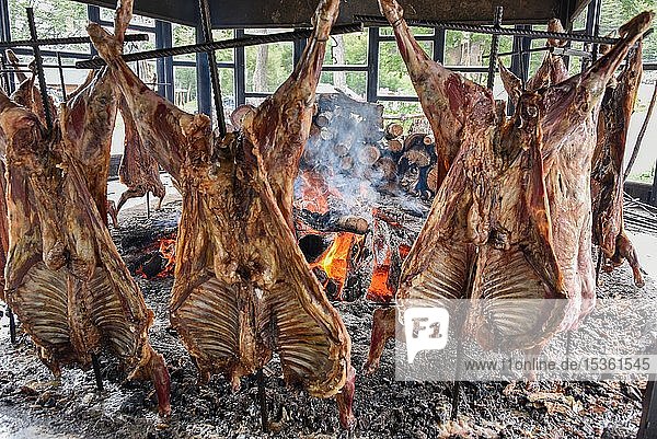Hammel am Spieß garen an offenen Feuer typische und traditionelle Spezialität in Feuerland und Patagonien Ushuaia Argentinien Südamerika