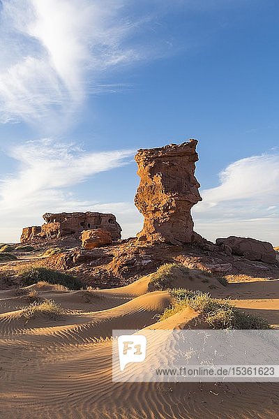Abendlicht in der Sahara bei Timimoun Algerien Afrika
