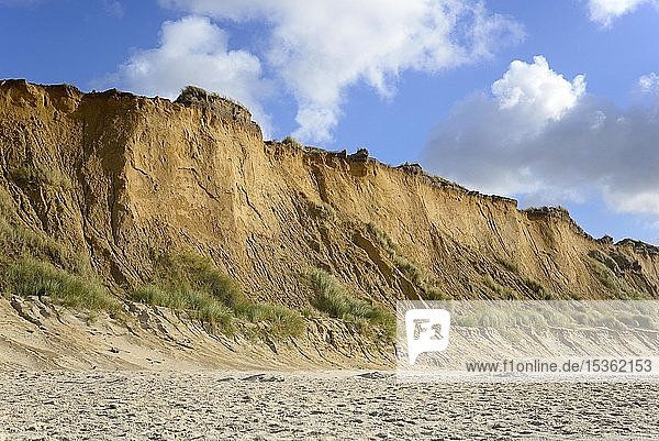 Rotes Kliff  beeindruckende Steilküste bei Kampen  Sylt  Nordfriesische Insel  Nordsee  Nordfriesland  Schleswig-Holstein  Deutschland  Europa