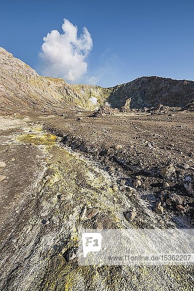 Gelber Schwefel und Fumarolen auf der vulkanischen Insel White Island  Whakaari  Bay of Plenty  Nordinsel  Neuseeland  Ozeanien