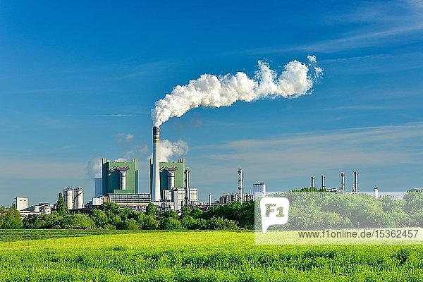 Dampfendes Braunkohlekraftwerk in einer grünen Landschaft  Kraftwerk Schkopau  Sachsen-Anhalt  Deutschland  Europa