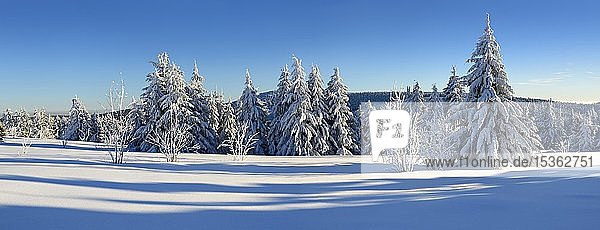 Panorama  tief verschneite Winterlandschaft am Fichtelberg  schneebedeckte Fichten  bei Oberwiesenthal  Erzgebirge  Sachsen  Deutschland  Europa