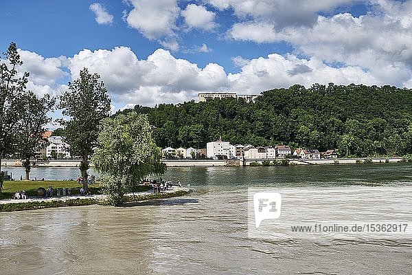 Dreieck  Zusammenfluss von Donau  Inn und Ilz  Passau  Niederbayern  Bayern  Deutschland  Europa