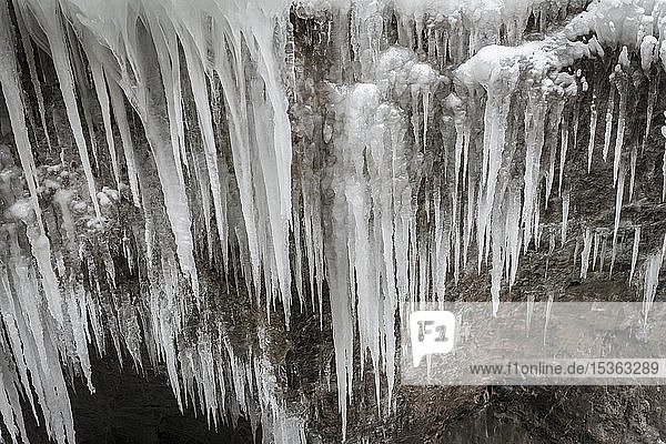 Lange Eiszapfen an einer Felswand  Partnachklamm im Winter  bei Garmisch-Partenkirchen  Oberbayern  Bayern  Deutschland  Europa