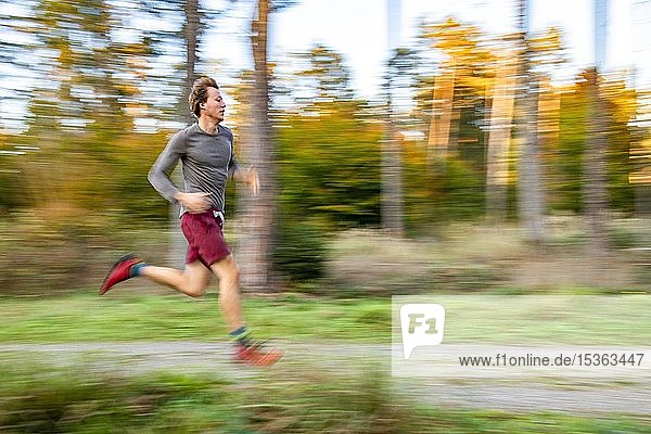 Young man jogging in the autumnal forest  puller  Perlacher Forst  Munich  Upper Bavaria  Bavaria  Germany  Europe